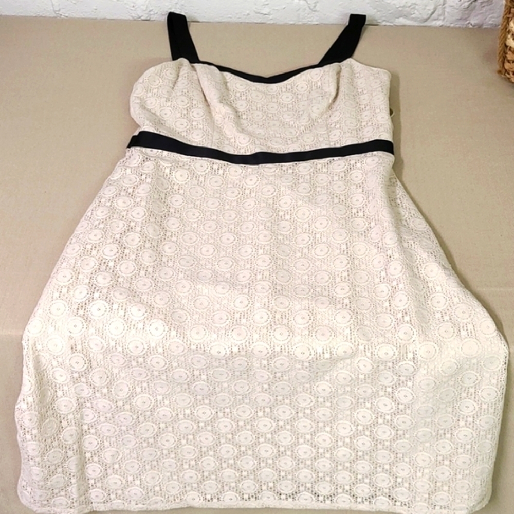 LOFT Lace Dress Cream and Black Size 8 Petite